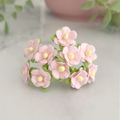 Baby Pink 1.5cm Sweetheart Blossoms (Pack of 10) Mulberry Paper Flowers