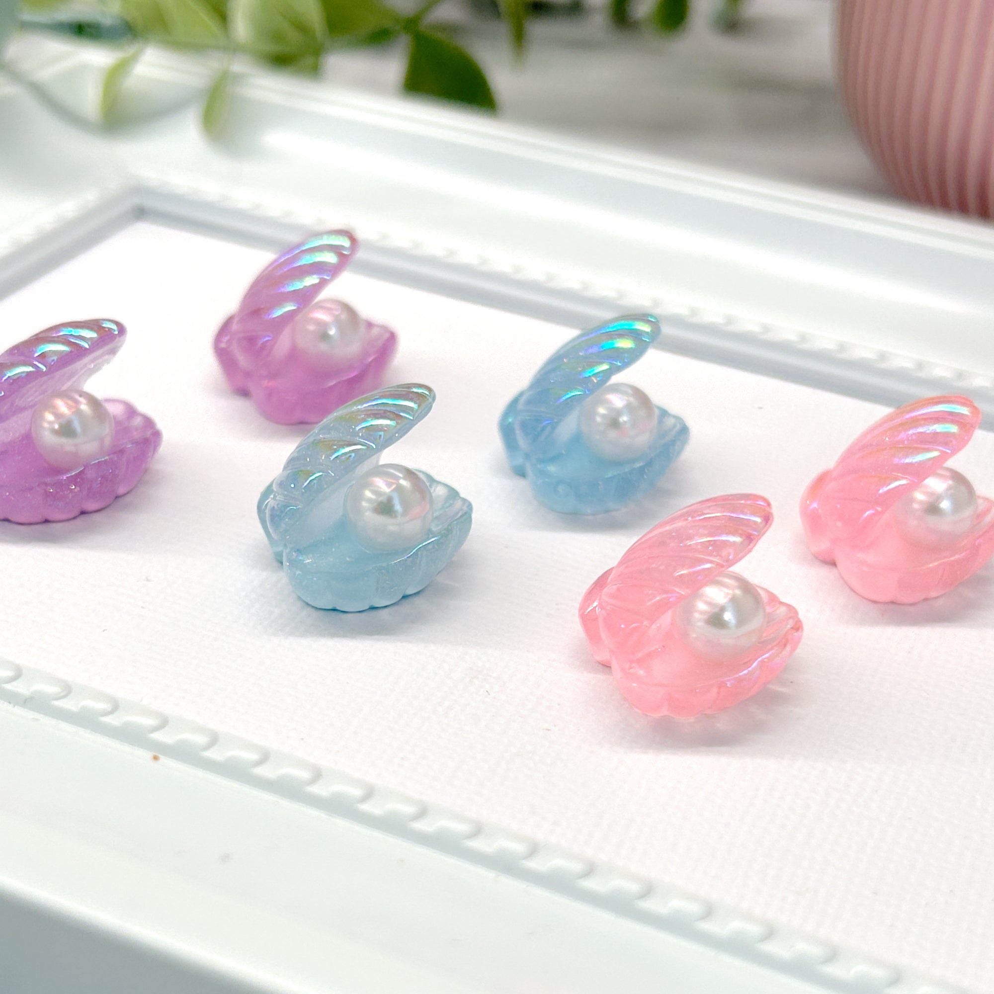 Clam Shell (Pack of 6) Resin Embellishments