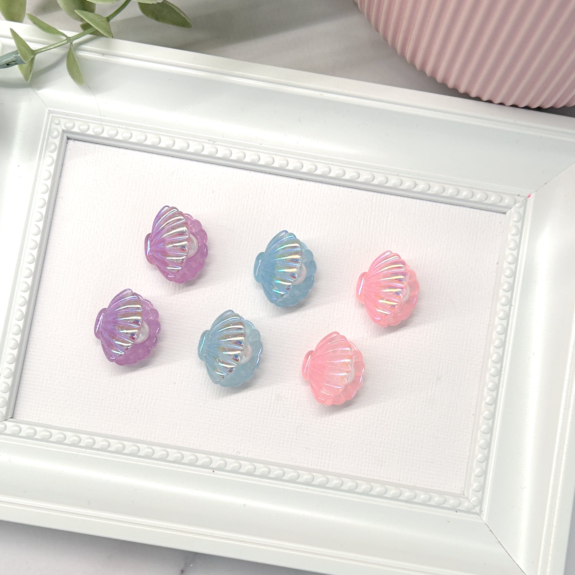 Clam Shell (Pack of 6) Resin Embellishments