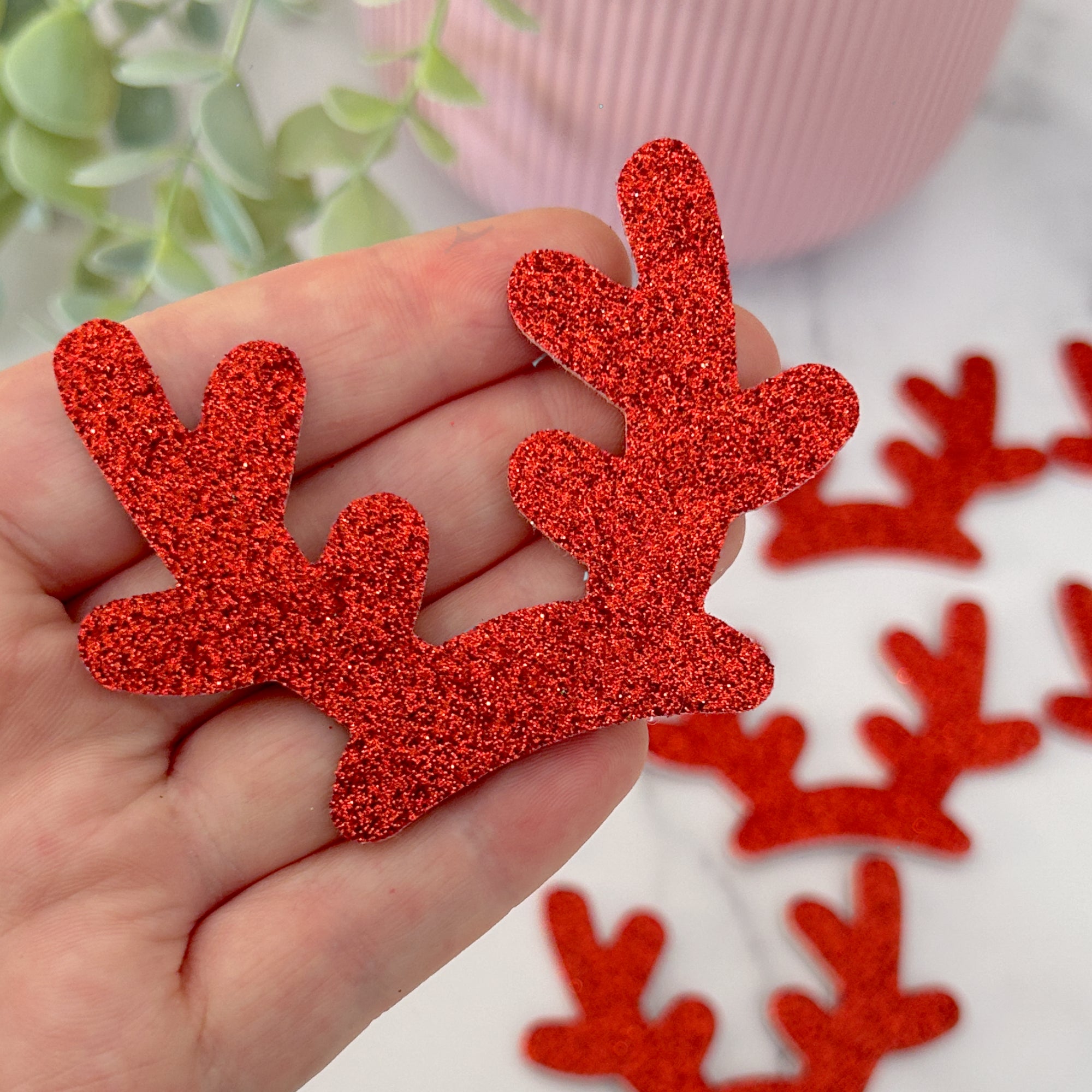 Reindeer Antler Embellishments